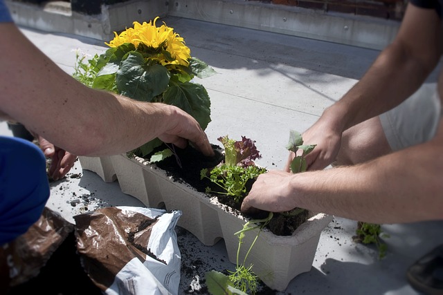 Skab et urbant køkken på din altan med en altankasse til krydderurter og grøntsager
